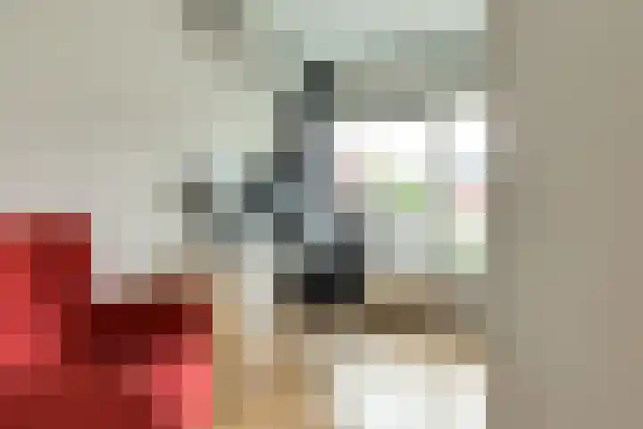 Wilhelminastraat 48 Berkel en Rodenrijs thumbnail 22