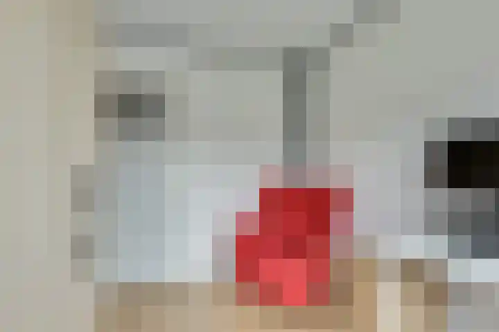 Wilhelminastraat 48 Berkel en Rodenrijs thumbnail 23
