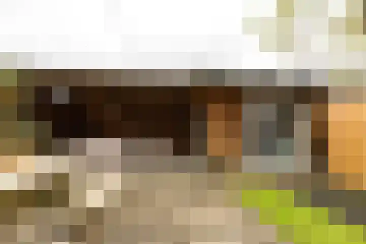 Wilhelminastraat 48 Berkel en Rodenrijs thumbnail 30