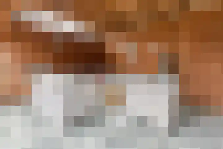 Wilhelminastraat 48 Berkel en Rodenrijs thumbnail 31