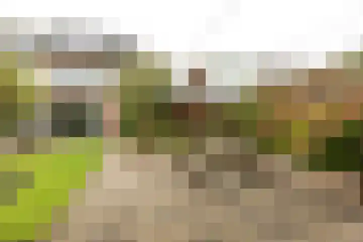 Wilhelminastraat 48 Berkel en Rodenrijs thumbnail 32