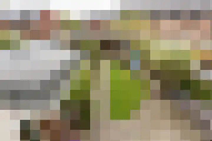 Wilhelminastraat 48 Berkel en Rodenrijs thumbnail 33
