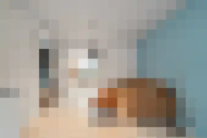 Wilhelminastraat 48 Den Helder thumbnail 5