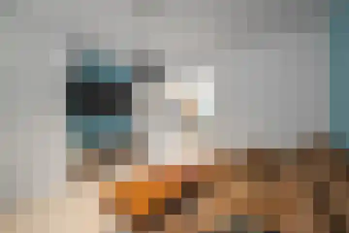 Wilhelminastraat 48 Den Helder thumbnail 8