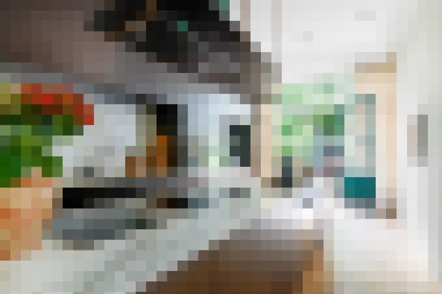 Wilhelminastraat 48 Haarlem thumbnail 16