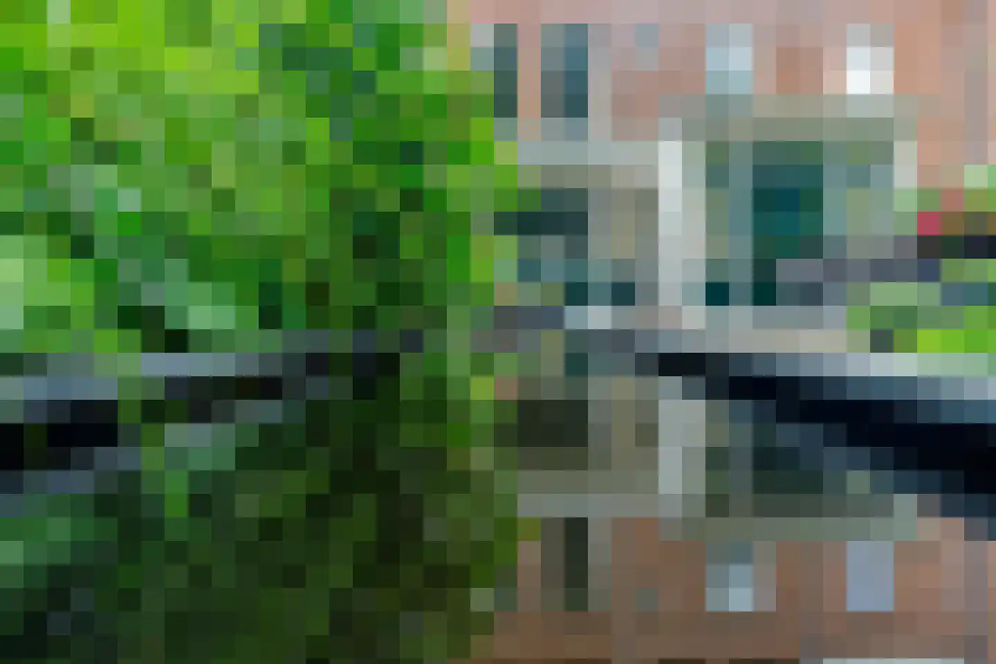 Wilhelminastraat 48 Haarlem thumbnail 19