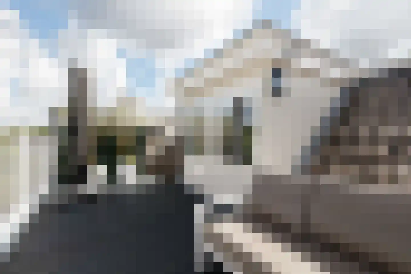 Wilhelminastraat 48 Haarlem thumbnail 51