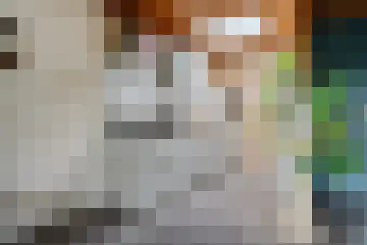 Wilhelminastraat 49 G Emmen thumbnail 11