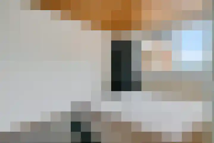 Wilhelminastraat 49 G Emmen thumbnail 15