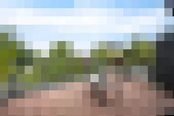 Wilhelminastraat 49 G Emmen thumbnail 22