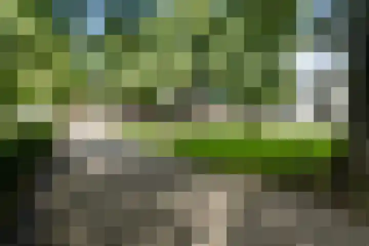 Wilhelminastraat 49 G Emmen thumbnail 34