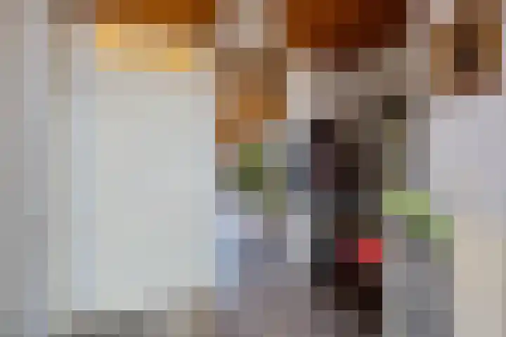 Wilhelminastraat 49 G Emmen thumbnail 4
