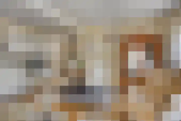 Wilhelminastraat 49 Overdinkel thumbnail 10