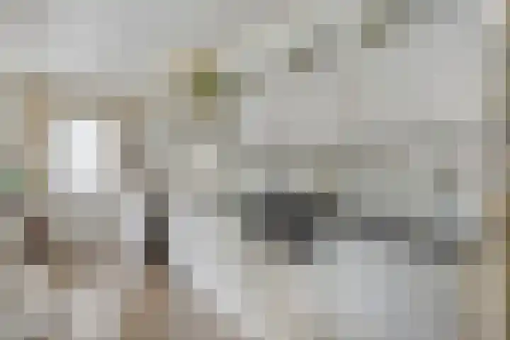 Wilhelminastraat 49 Overdinkel thumbnail 13