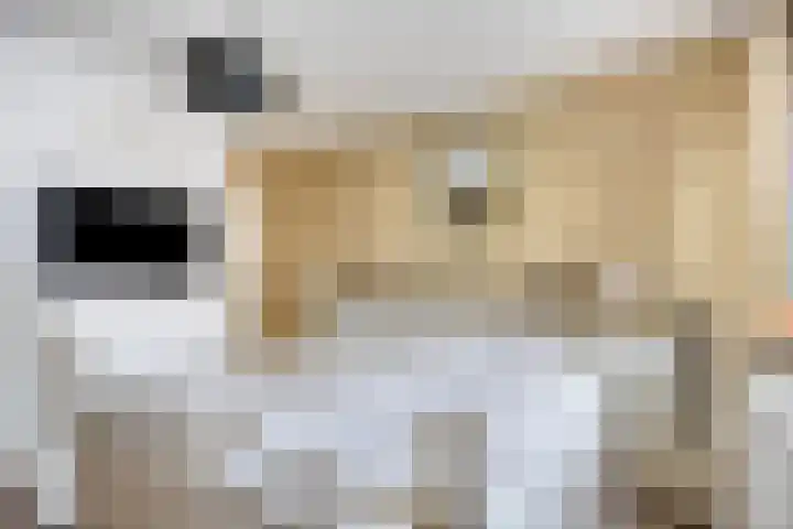 Wilhelminastraat 49 Overdinkel thumbnail 17