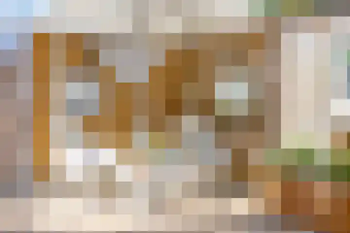 Wilhelminastraat 49 Overdinkel thumbnail 23