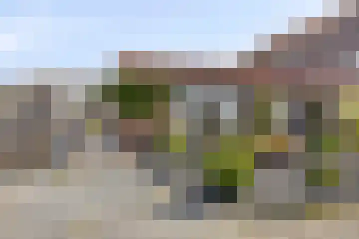 Wilhelminastraat 49 Overdinkel thumbnail 25