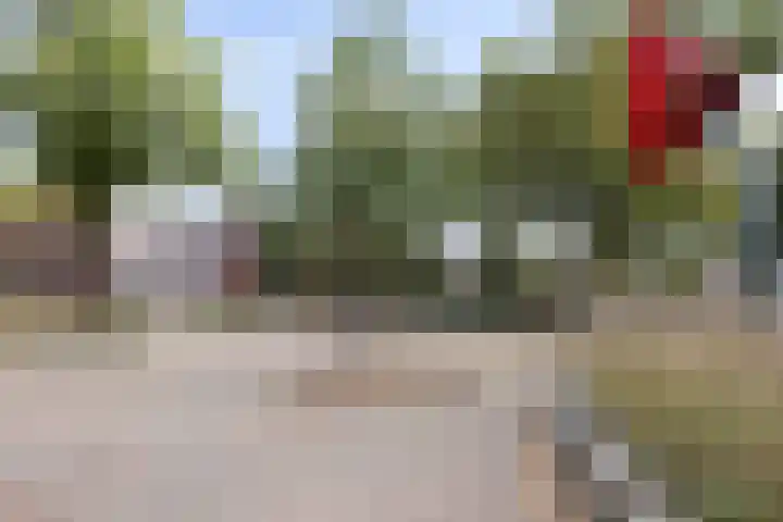 Wilhelminastraat 49 Overdinkel thumbnail 29
