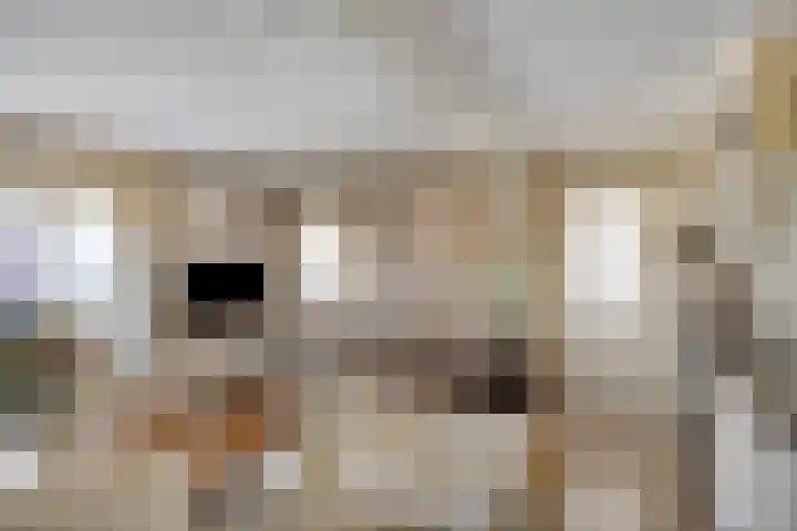 Wilhelminastraat 49 Overdinkel thumbnail 7
