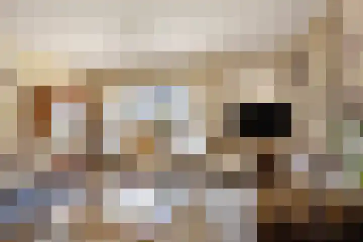 Wilhelminastraat 49 Overdinkel thumbnail 8
