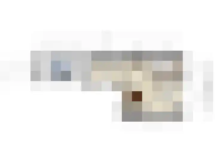 Wilhelminastraat 49 Sint Philipsland thumbnail 22