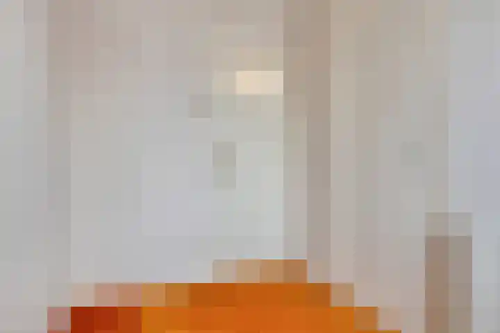 Wilhelminastraat 49 Sint Philipsland thumbnail 33