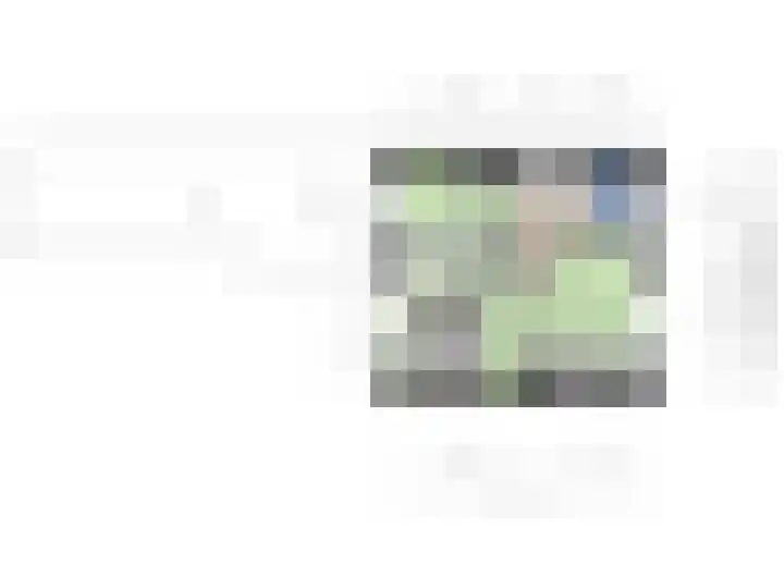 Wilhelminastraat 49 Sint Philipsland thumbnail 38