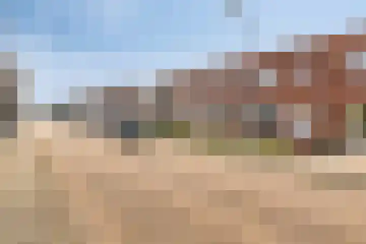 Wilhelminastraat 49 Sint Philipsland thumbnail 47