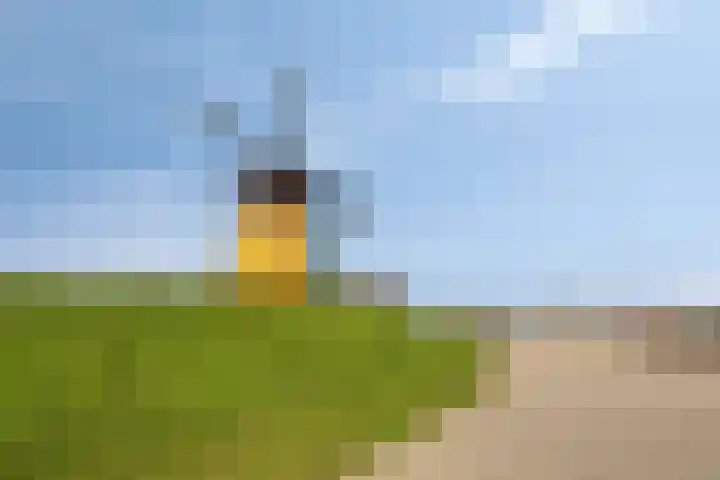 Wilhelminastraat 49 Sint Philipsland thumbnail 51