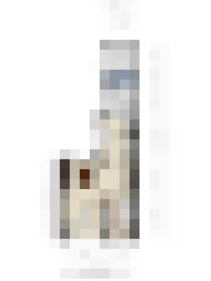 Wilhelminastraat 49 Sint Philipsland thumbnail 57