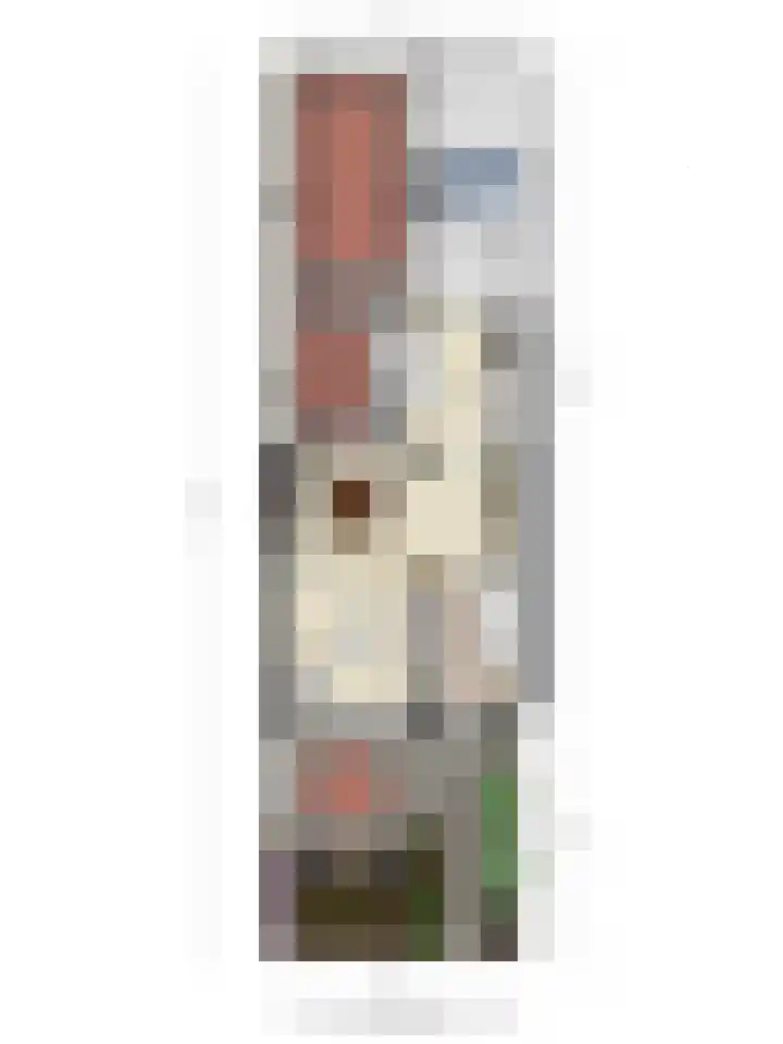 Wilhelminastraat 49 Sint Philipsland thumbnail 58