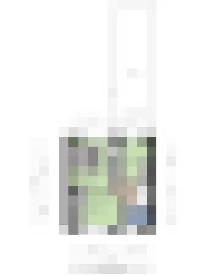 Wilhelminastraat 49 Sint Philipsland thumbnail 59