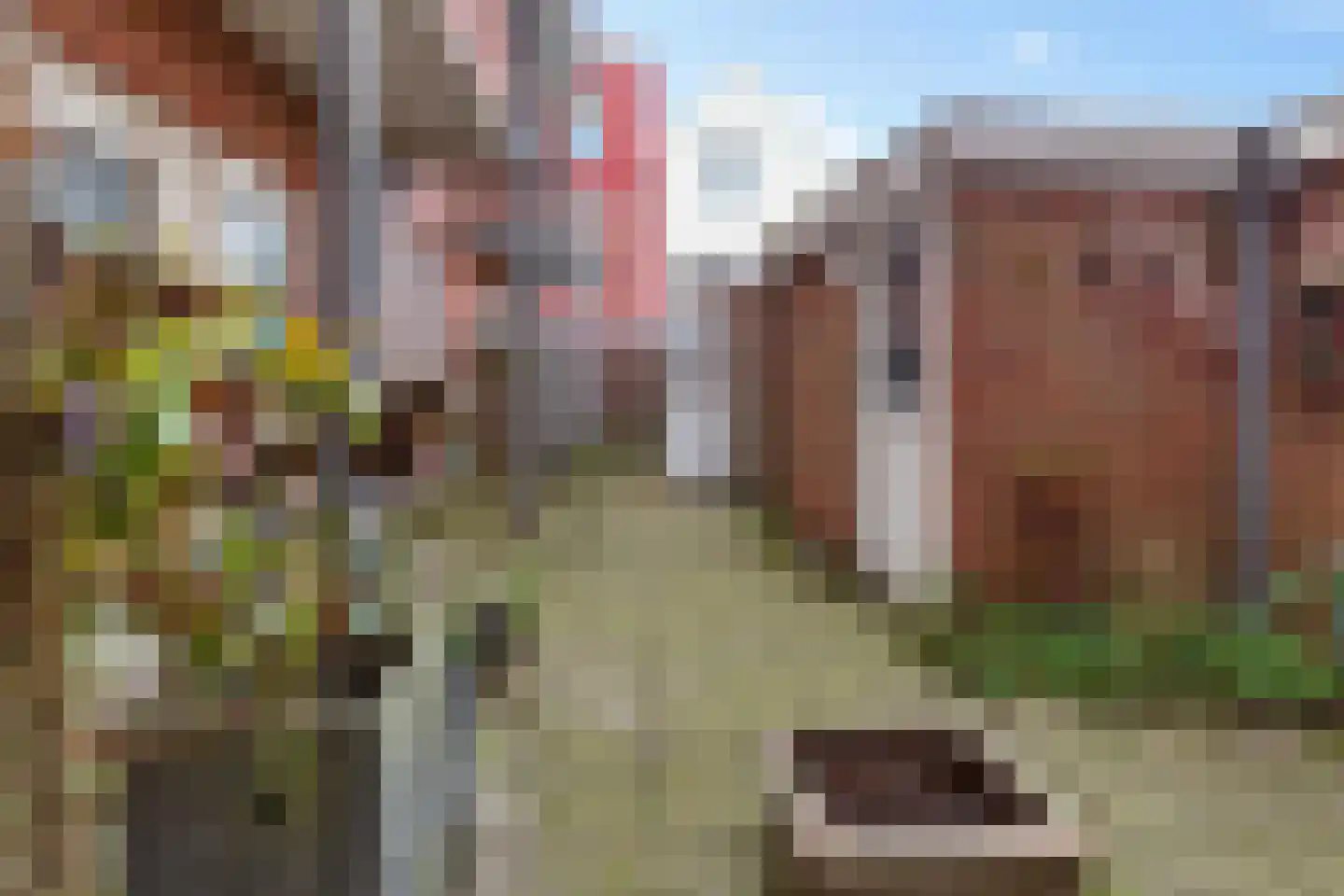 Wilhelminastraat 49 Vlissingen thumbnail 27