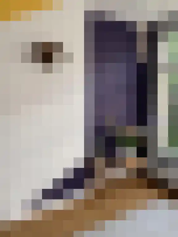 Wilhelminastraat 5 1 Amsterdam thumbnail 6