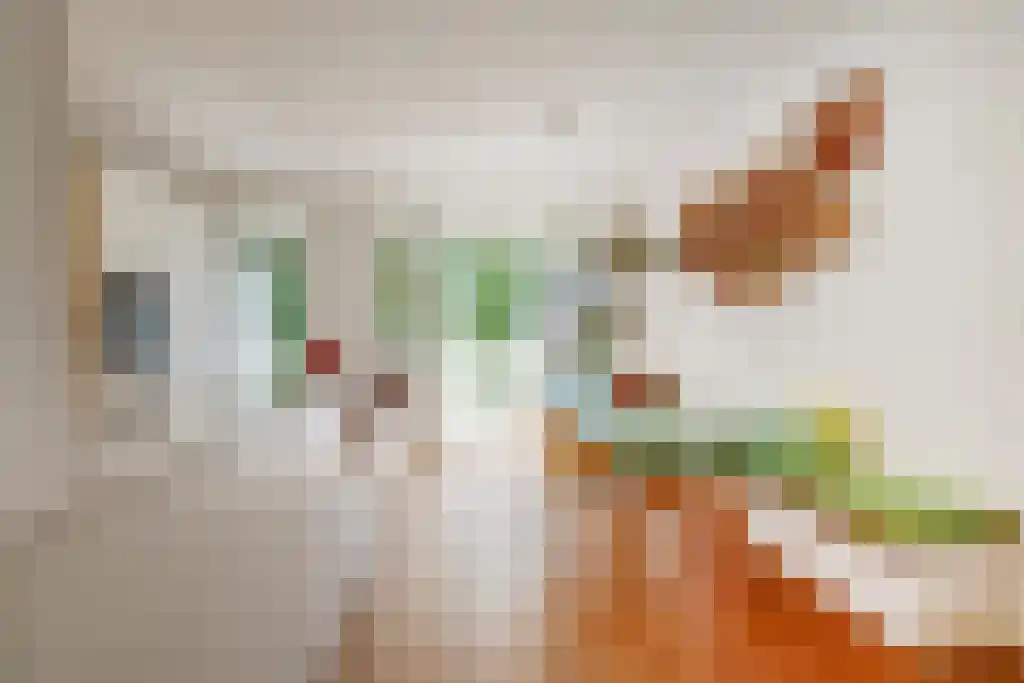 Wilhelminastraat 5 2 Amsterdam thumbnail 13
