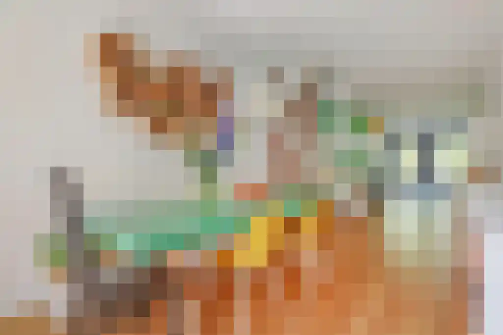Wilhelminastraat 5 2 Amsterdam thumbnail 18