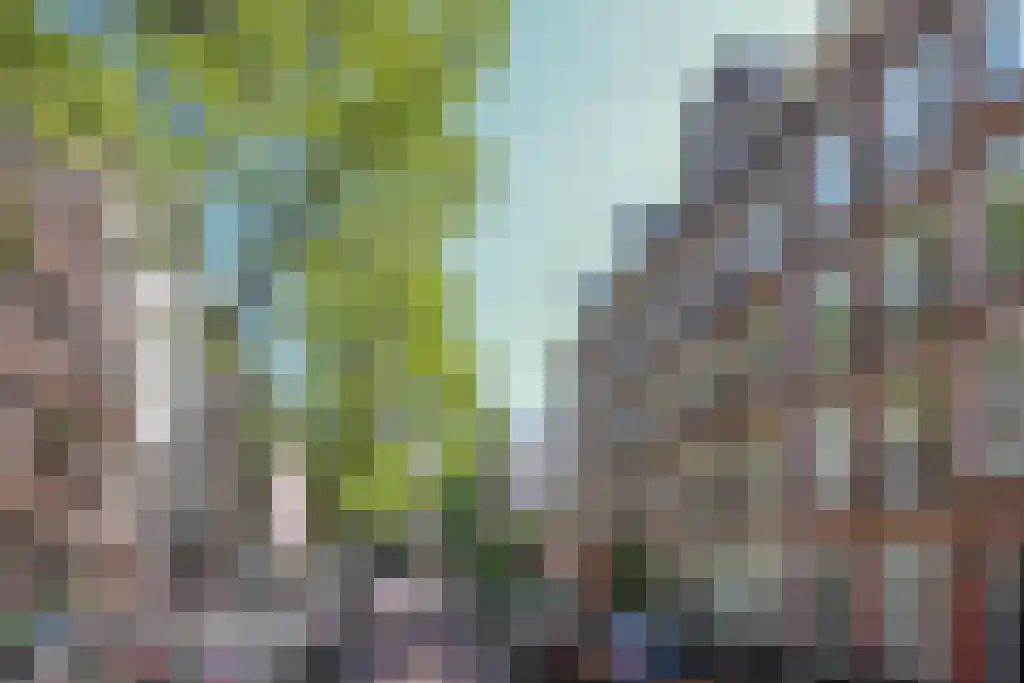 Wilhelminastraat 5 2 Amsterdam thumbnail 29