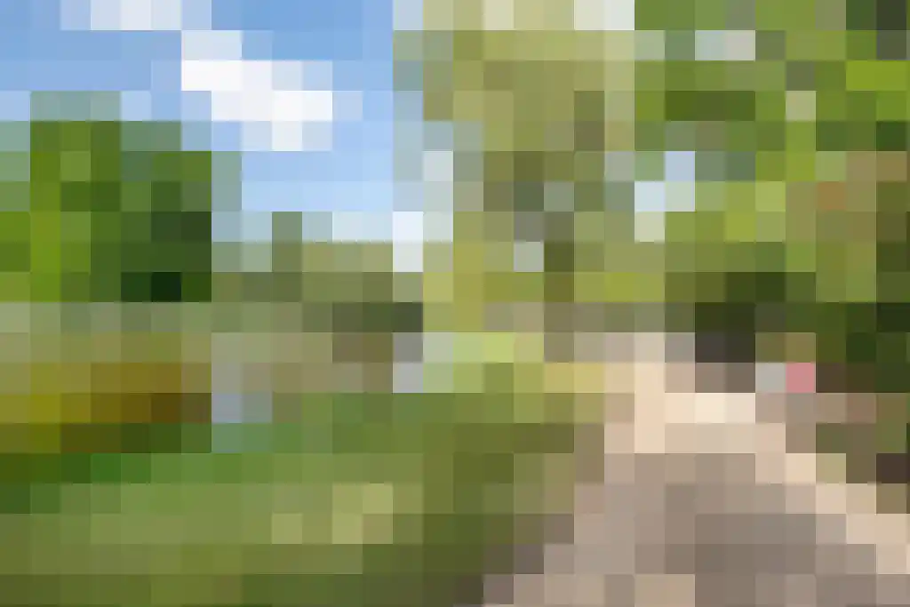 Wilhelminastraat 5 2 Amsterdam thumbnail 32