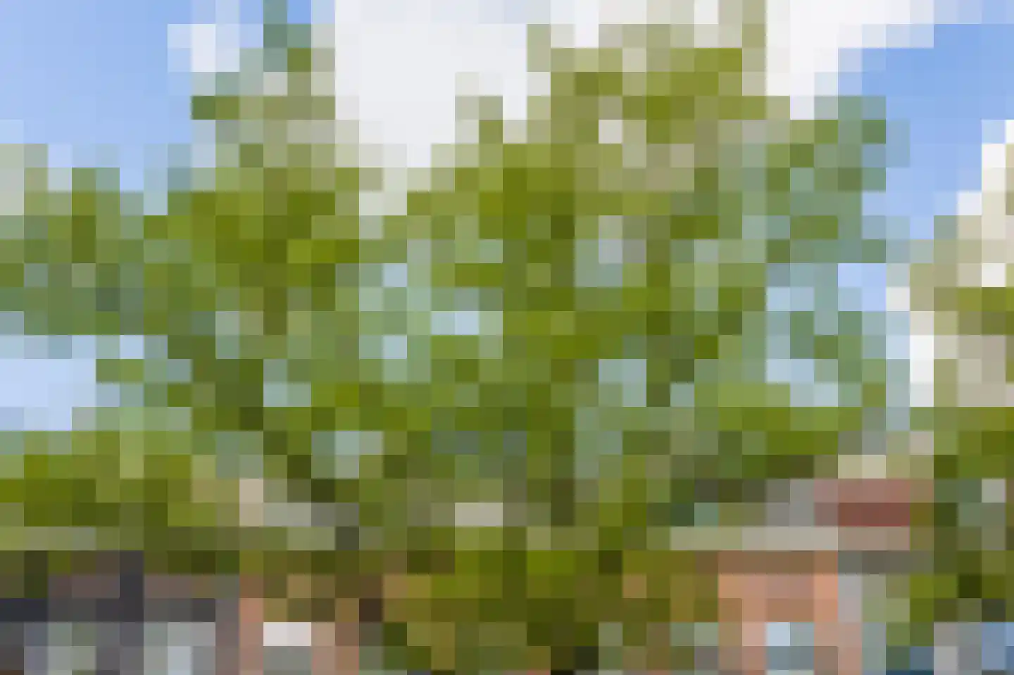 Wilhelminastraat 5 3 Amsterdam thumbnail 41