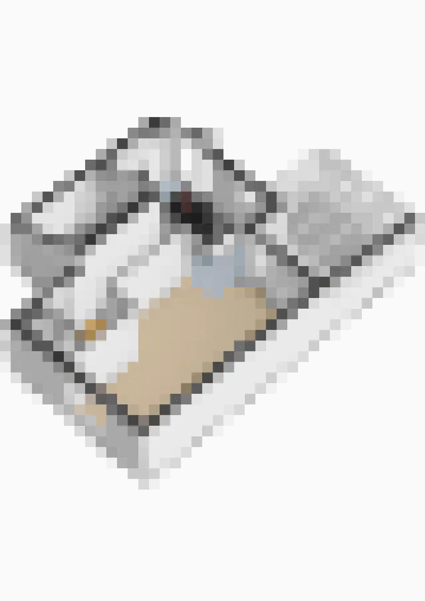 Wilhelminastraat 5 A Landgraaf thumbnail 31
