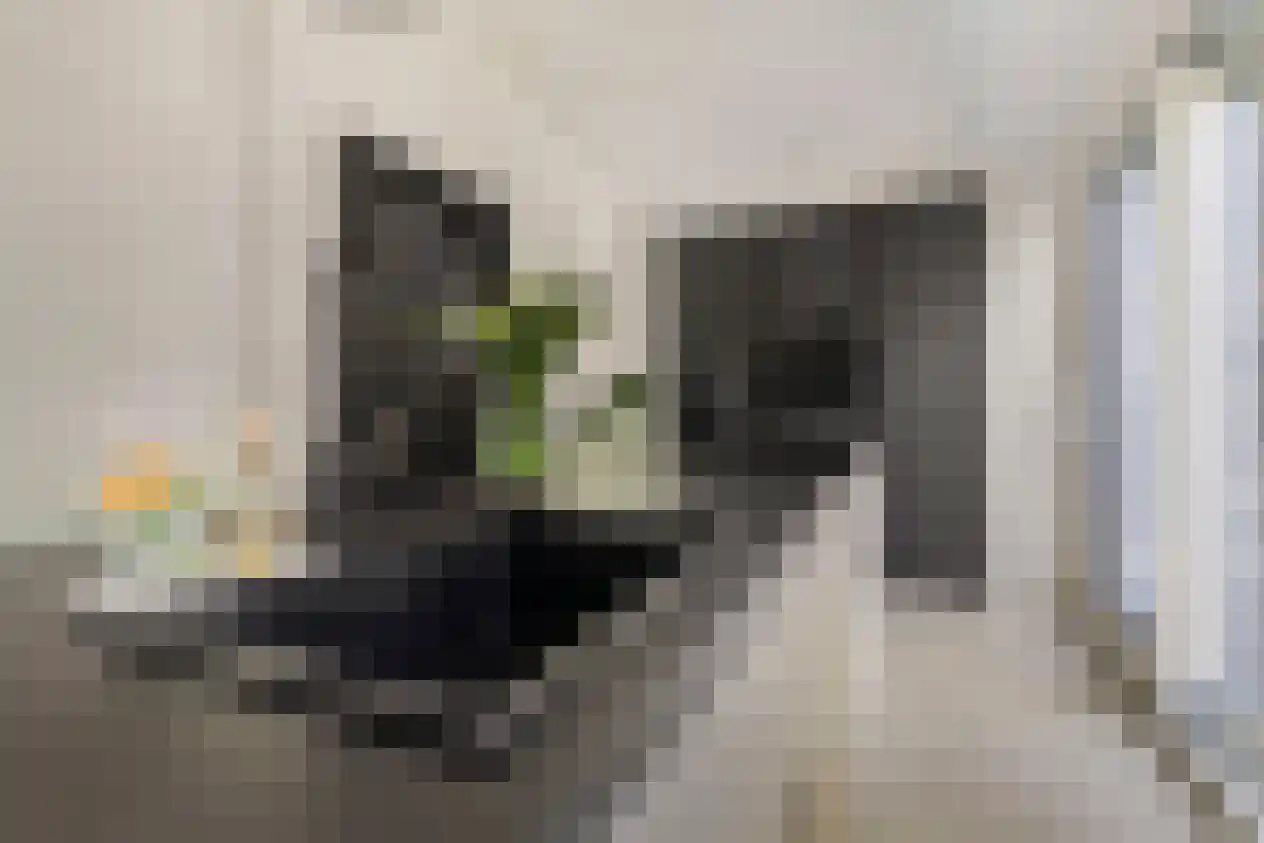 Wilhelminastraat 5 A Landgraaf thumbnail 6