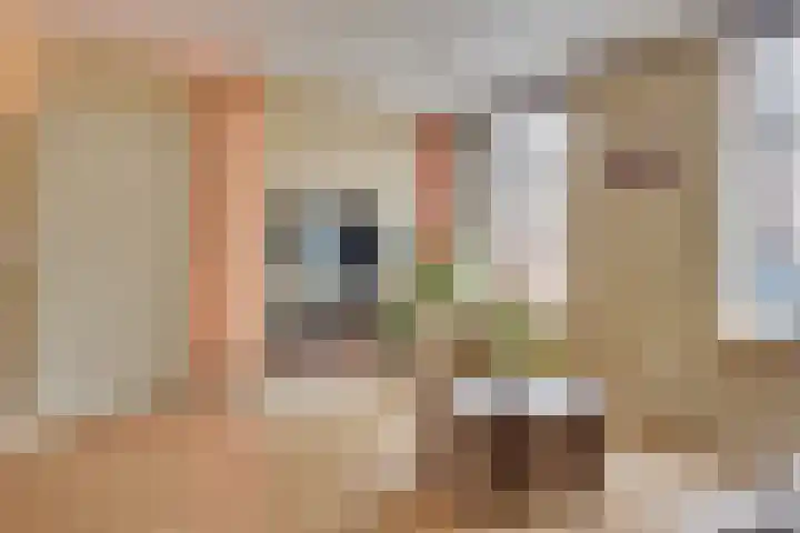 Wilhelminastraat 5 Den Bommel thumbnail 10
