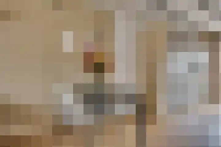 Wilhelminastraat 5 Den Bommel thumbnail 11