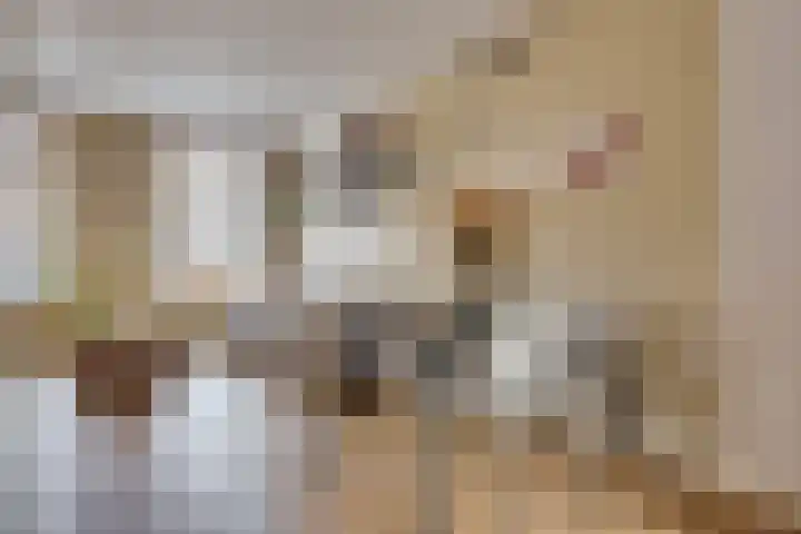 Wilhelminastraat 5 Den Bommel thumbnail 13