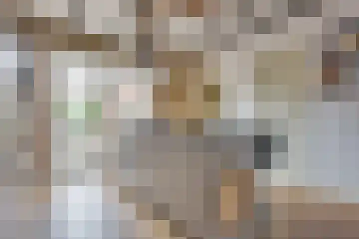 Wilhelminastraat 5 Den Bommel thumbnail 14