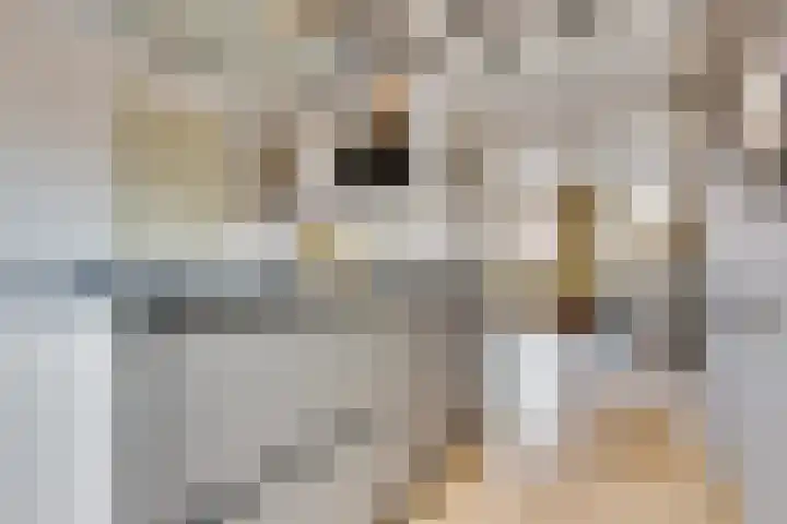 Wilhelminastraat 5 Den Bommel thumbnail 15