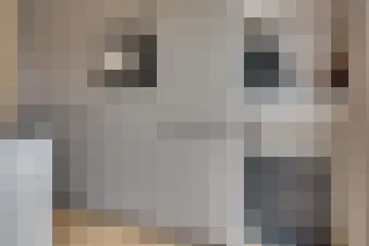 Wilhelminastraat 5 Den Bommel thumbnail 17