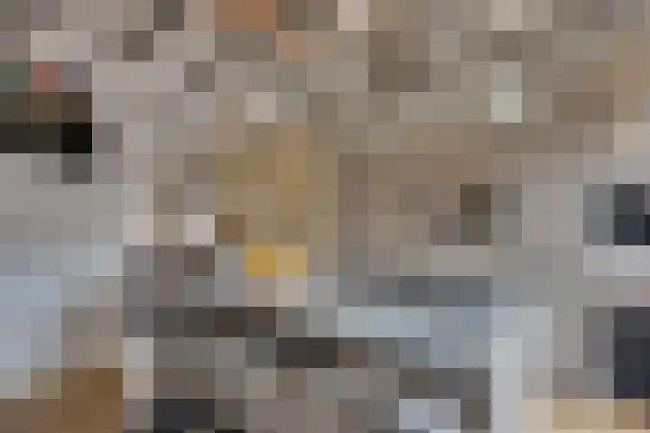 Wilhelminastraat 5 Den Bommel thumbnail 18