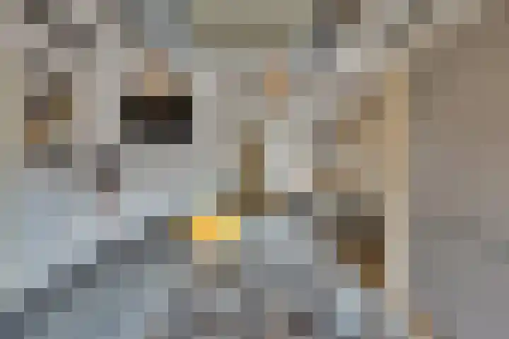 Wilhelminastraat 5 Den Bommel thumbnail 19