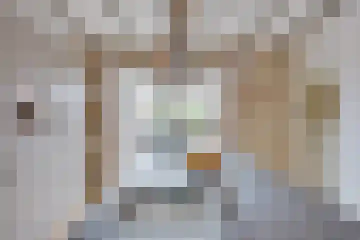 Wilhelminastraat 5 Den Bommel thumbnail 20